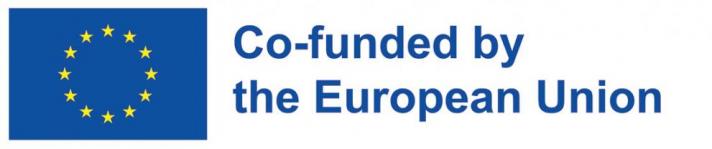 EU emblem -co-funded