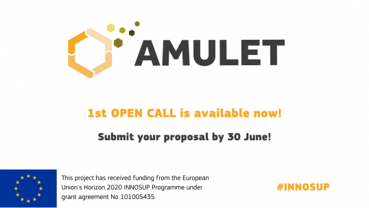 AMULET first open call