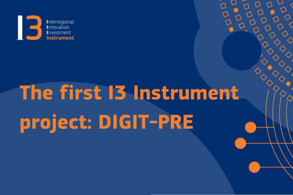 The first I3 Instrument project: DIGIT-PRE