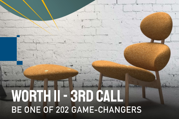 WORTH Partnership project 3rd call - Be one of 202 game-changers